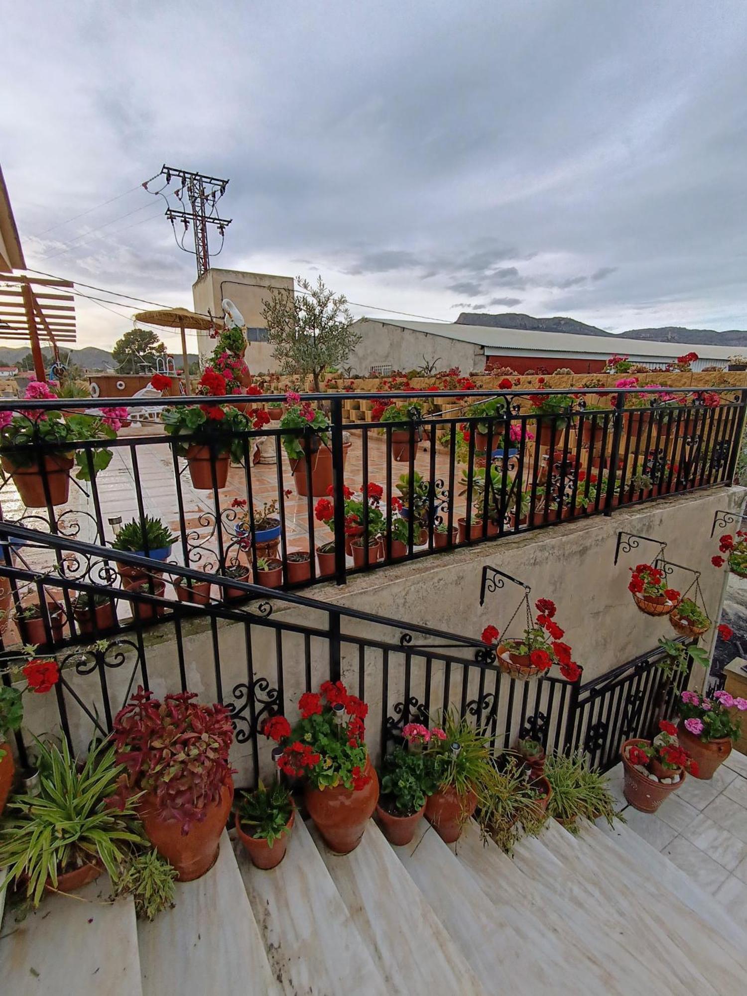 Casa Chalet Venta Ruizo Lorca  Exterior photo