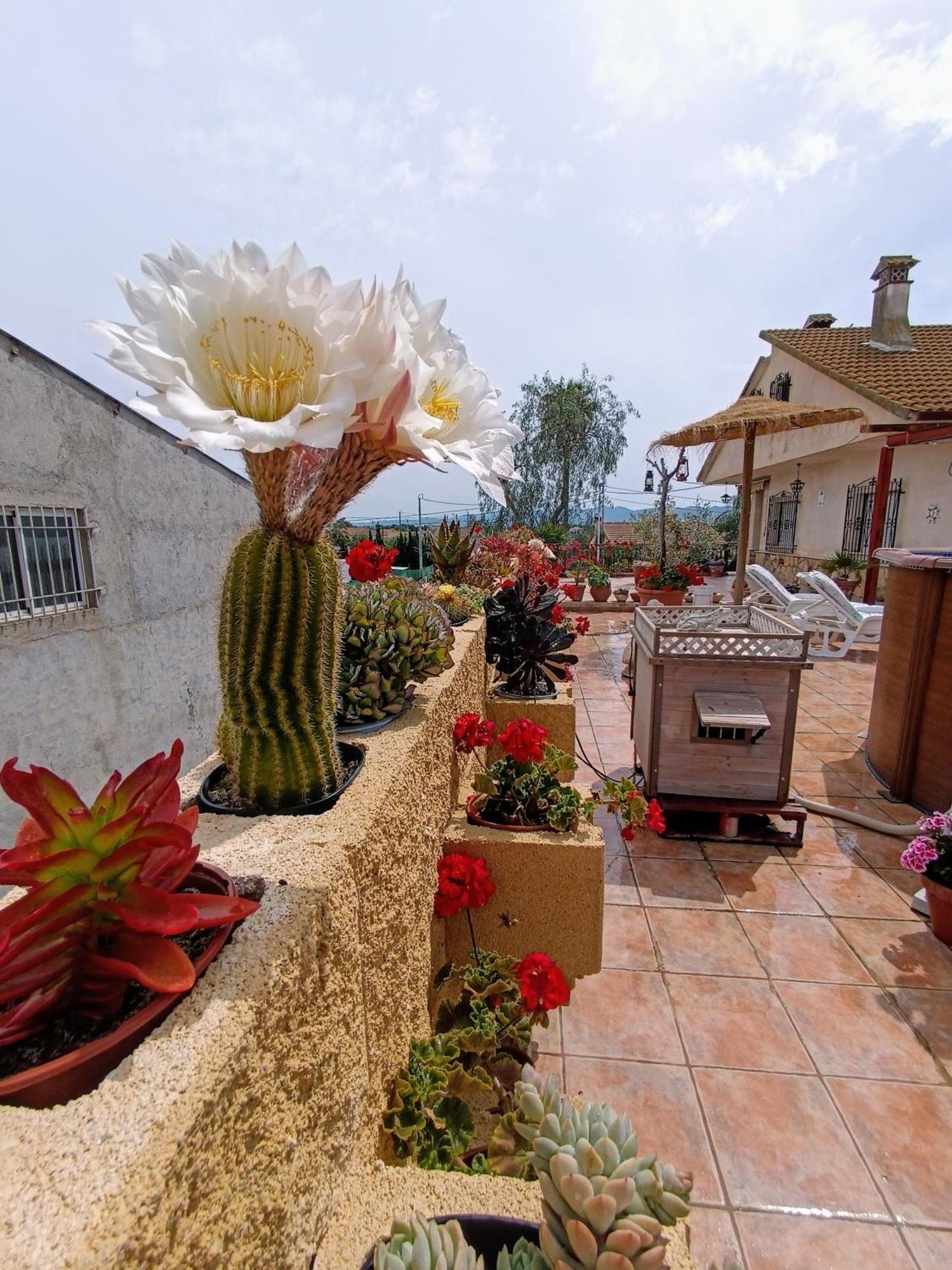Casa Chalet Venta Ruizo Lorca  Exterior photo